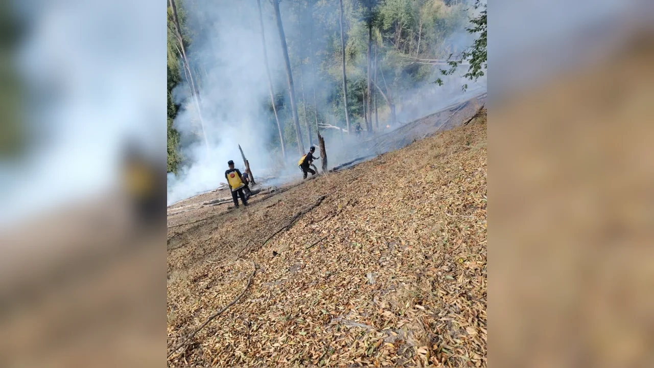 Black Hawk: 25 de lansări la Roșcani; focarele, lichidate până la 17:00