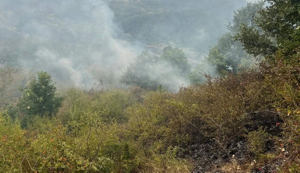 Ciopeia: incendiu de vegetație de peste 7 ha, fum pe DN 66