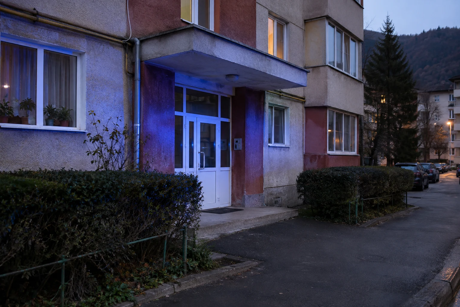 Lupeni: ordin de protecție cu brățară electronică, după loviri în familie